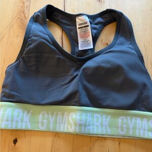 Gymshark Charcoal and Mint Sports Bra